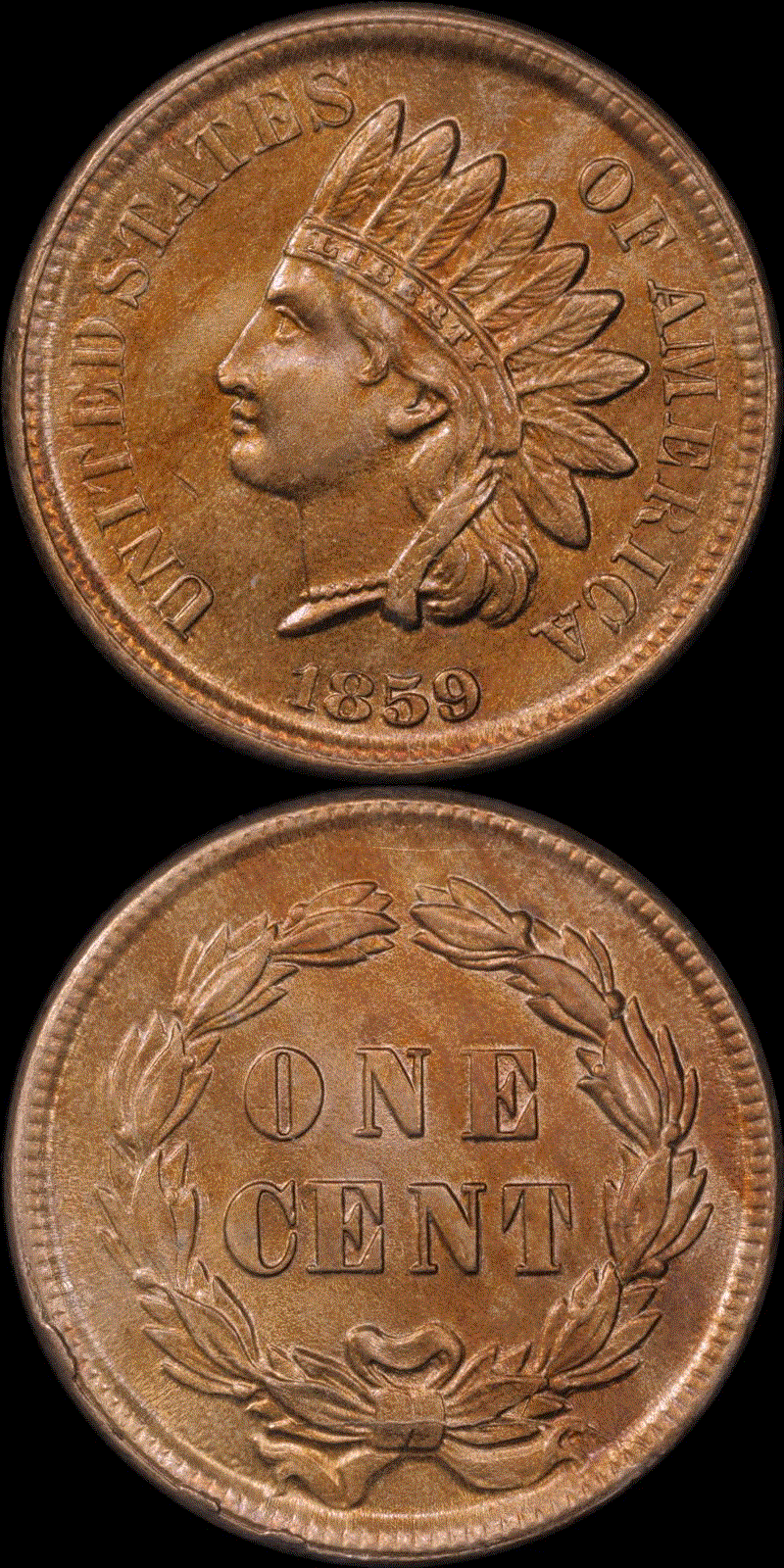 01c 1859 full 01.gif