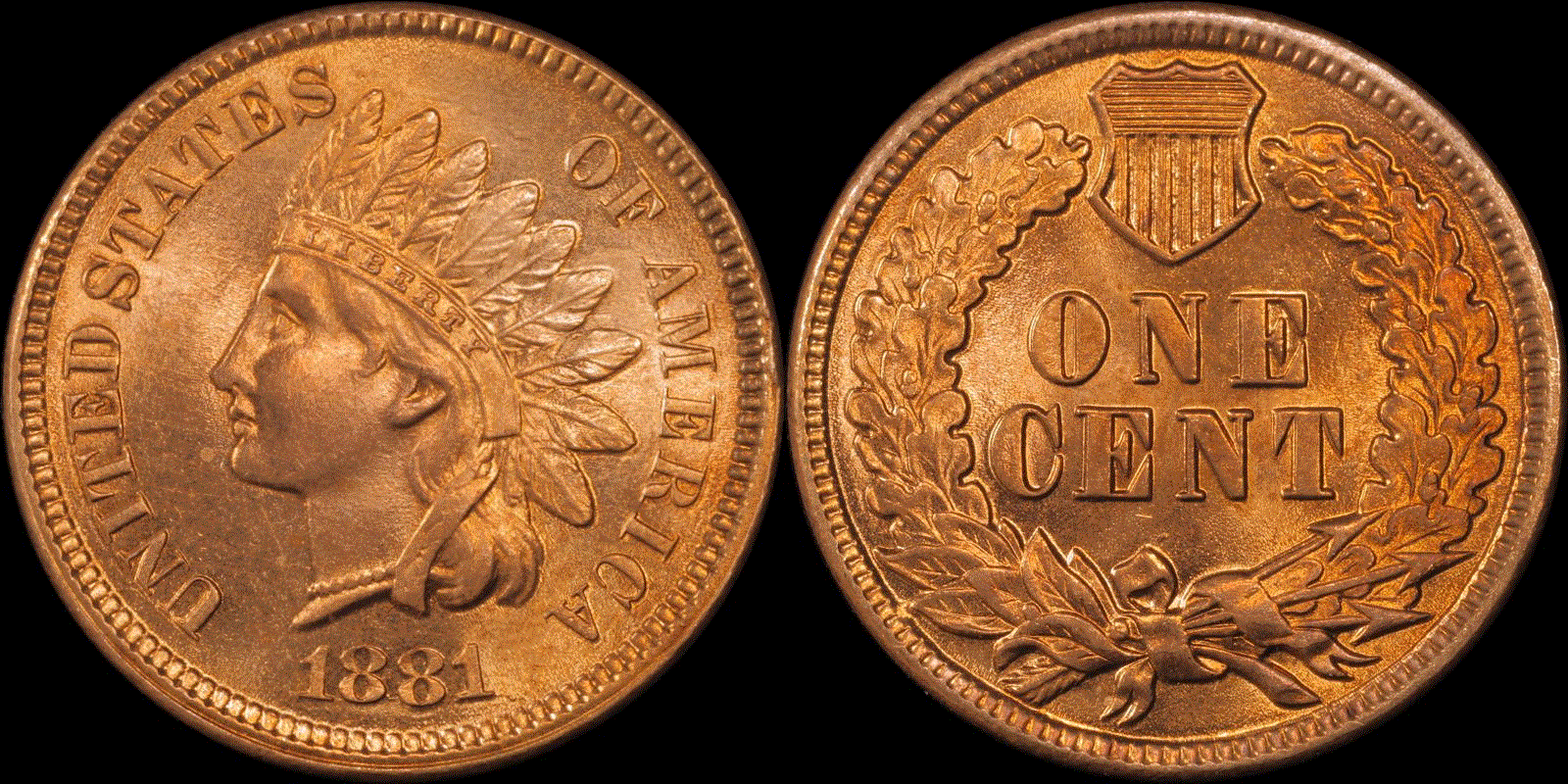 01c 1881 full 01.gif