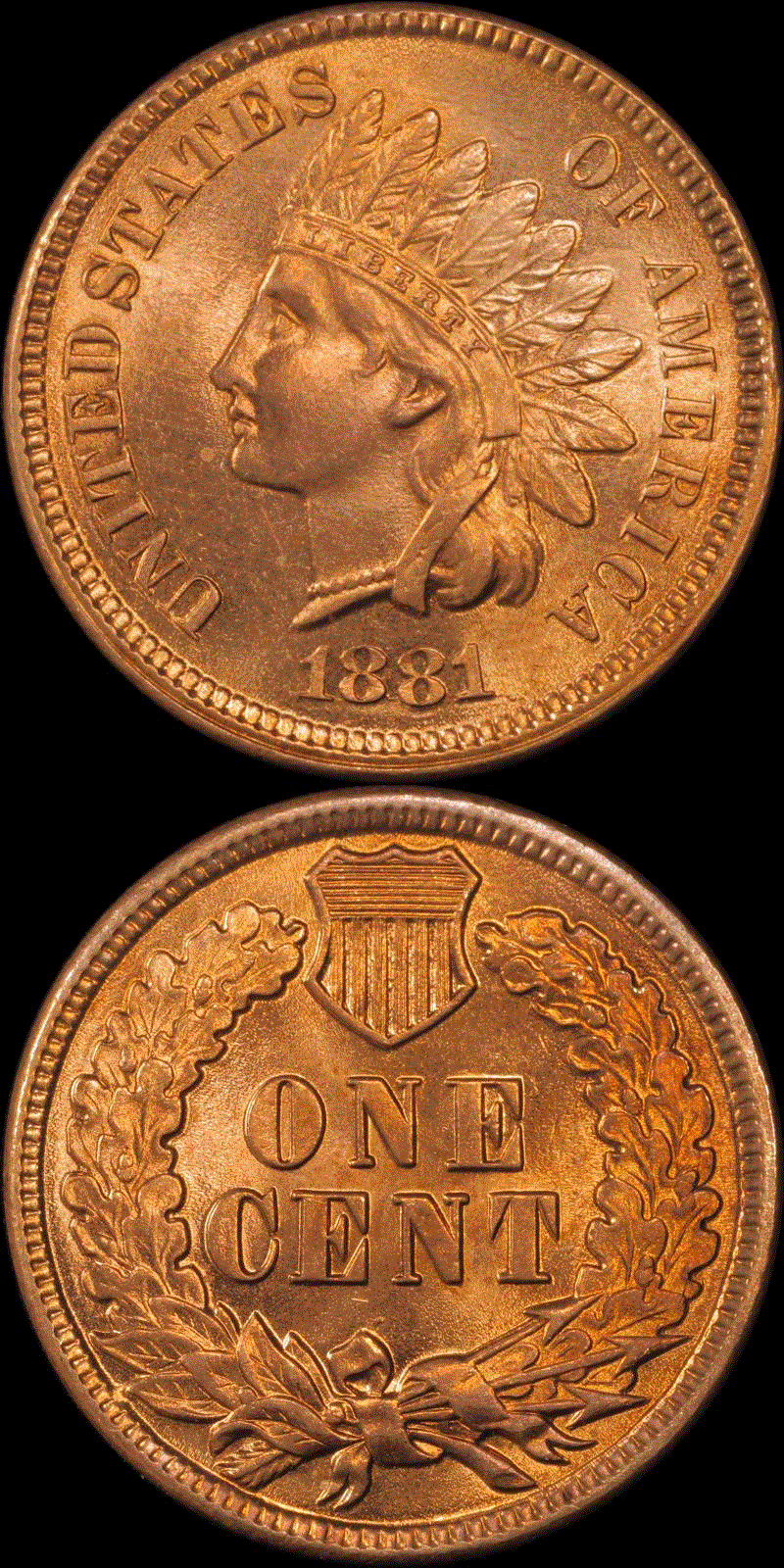 01c 1881 full 01.gif