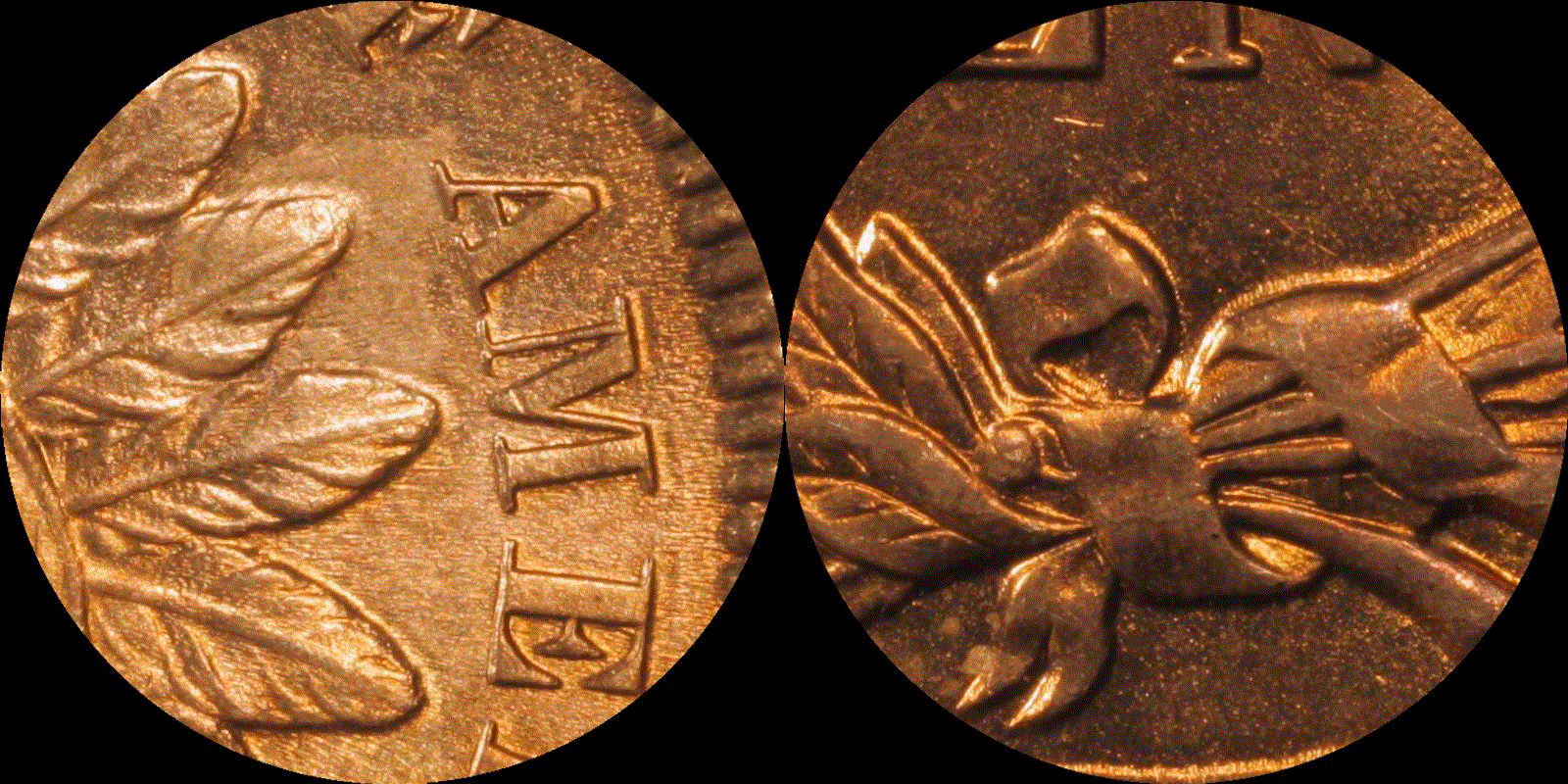 01c 1881 full 21.gif