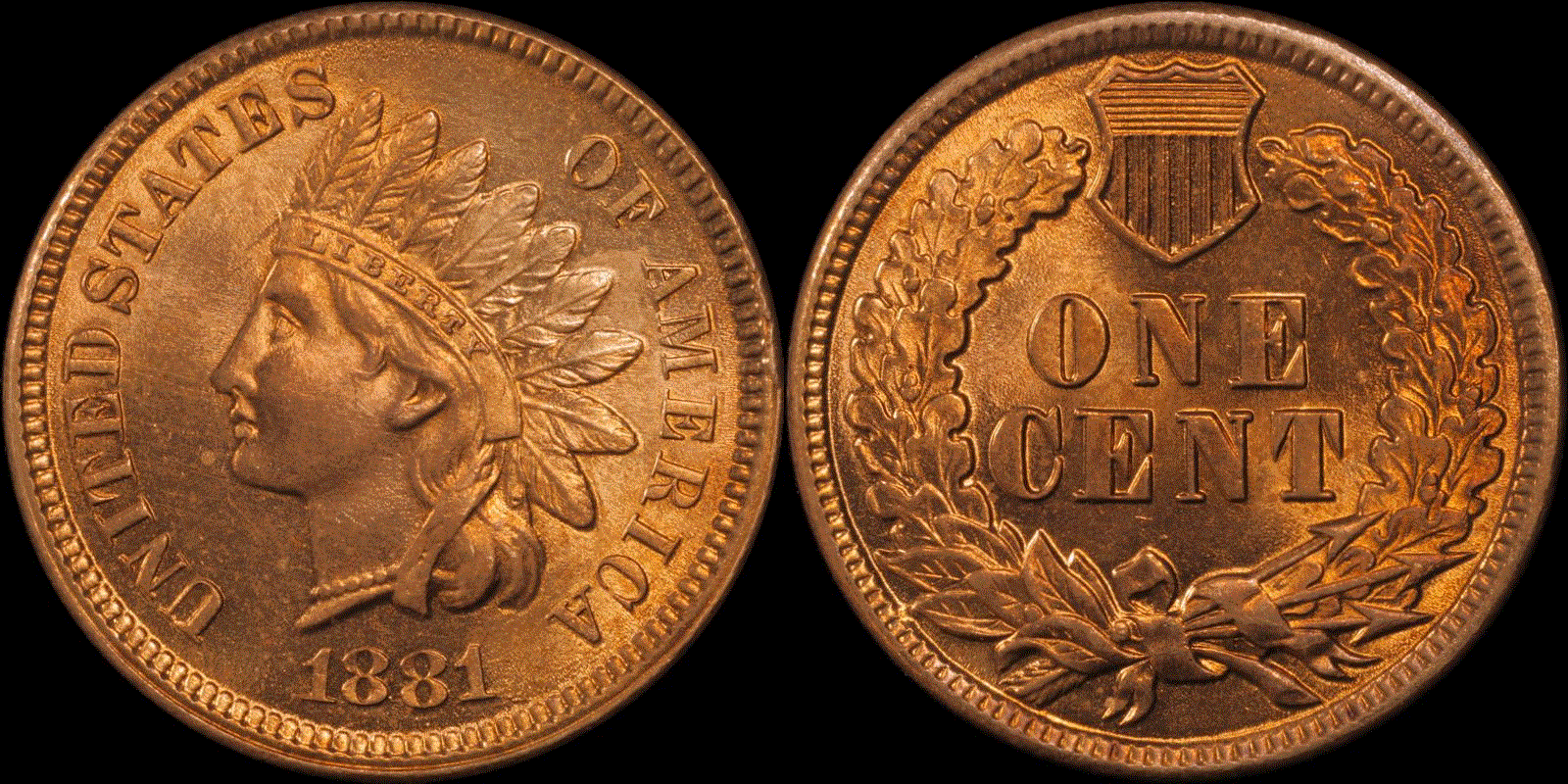 01c 1881 full 21.gif
