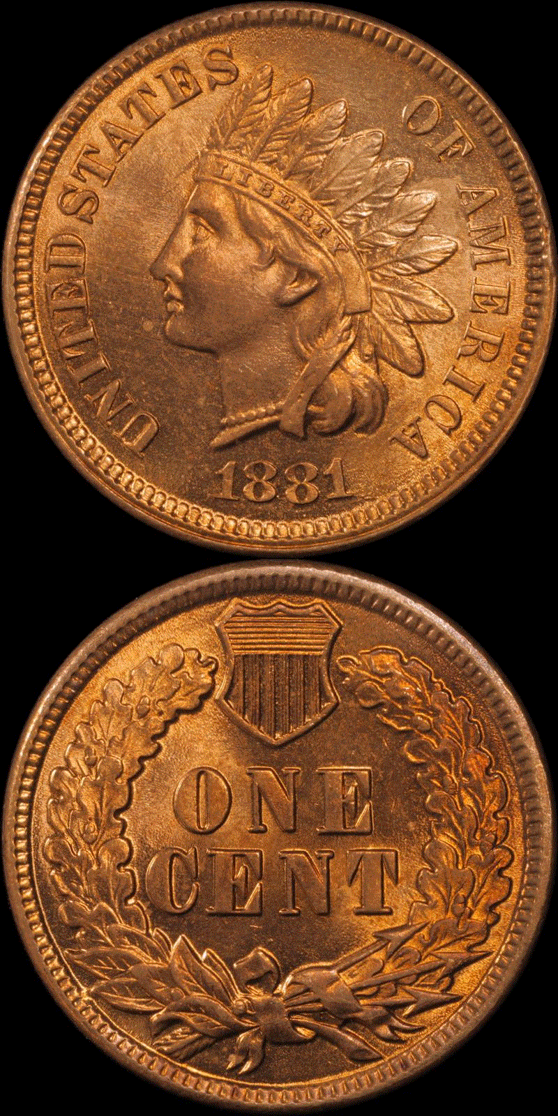 01c 1881 full 21.gif