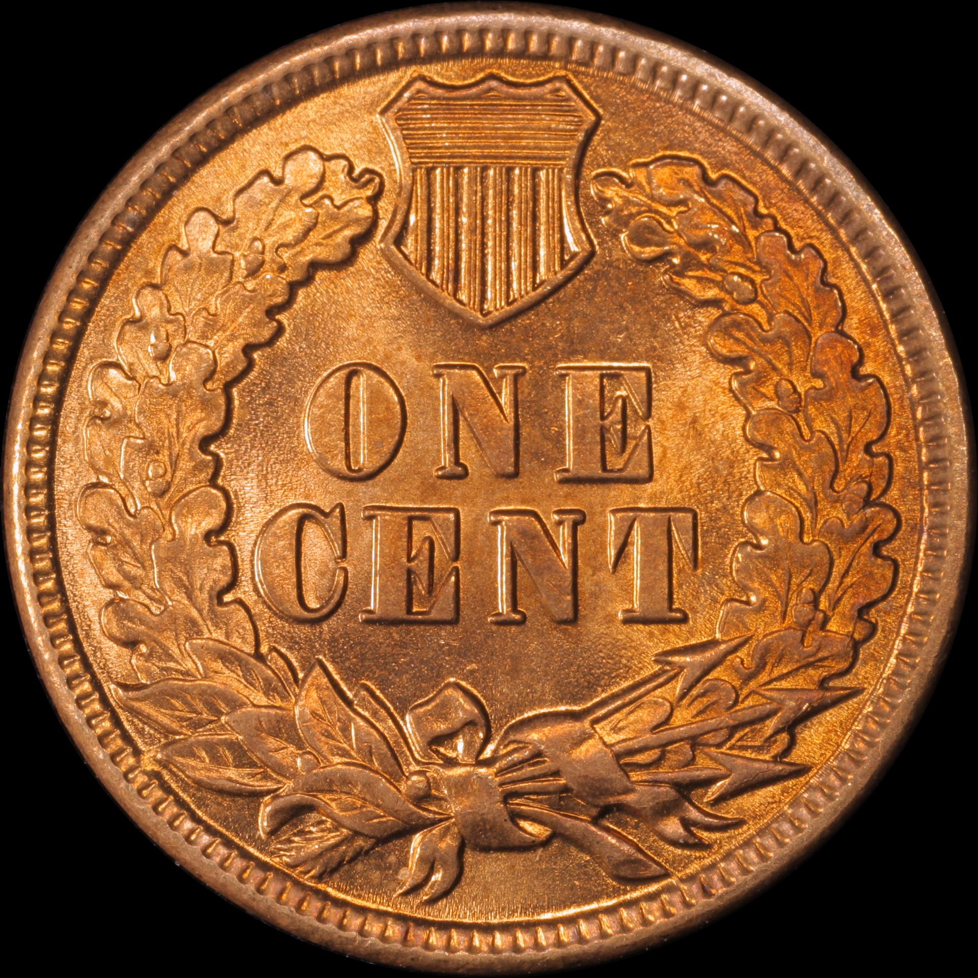 01c 1881 reverse 05.JPG
