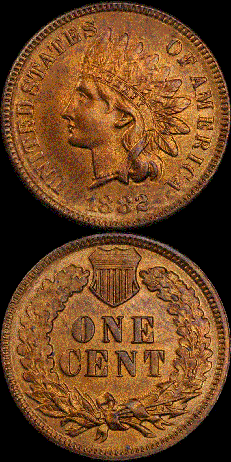 01c 1882 full 11.gif