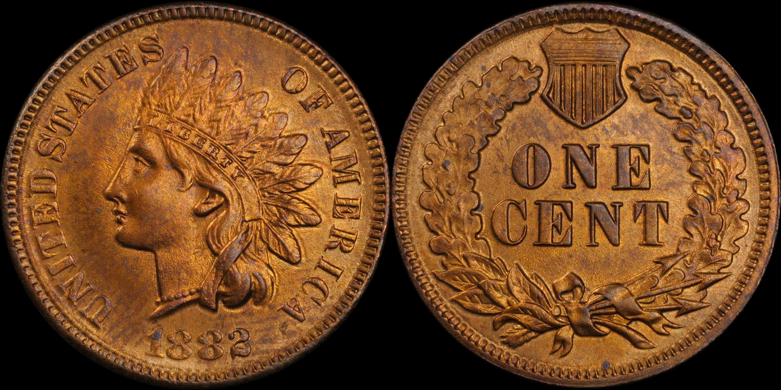 01c 1882 full 11.gif