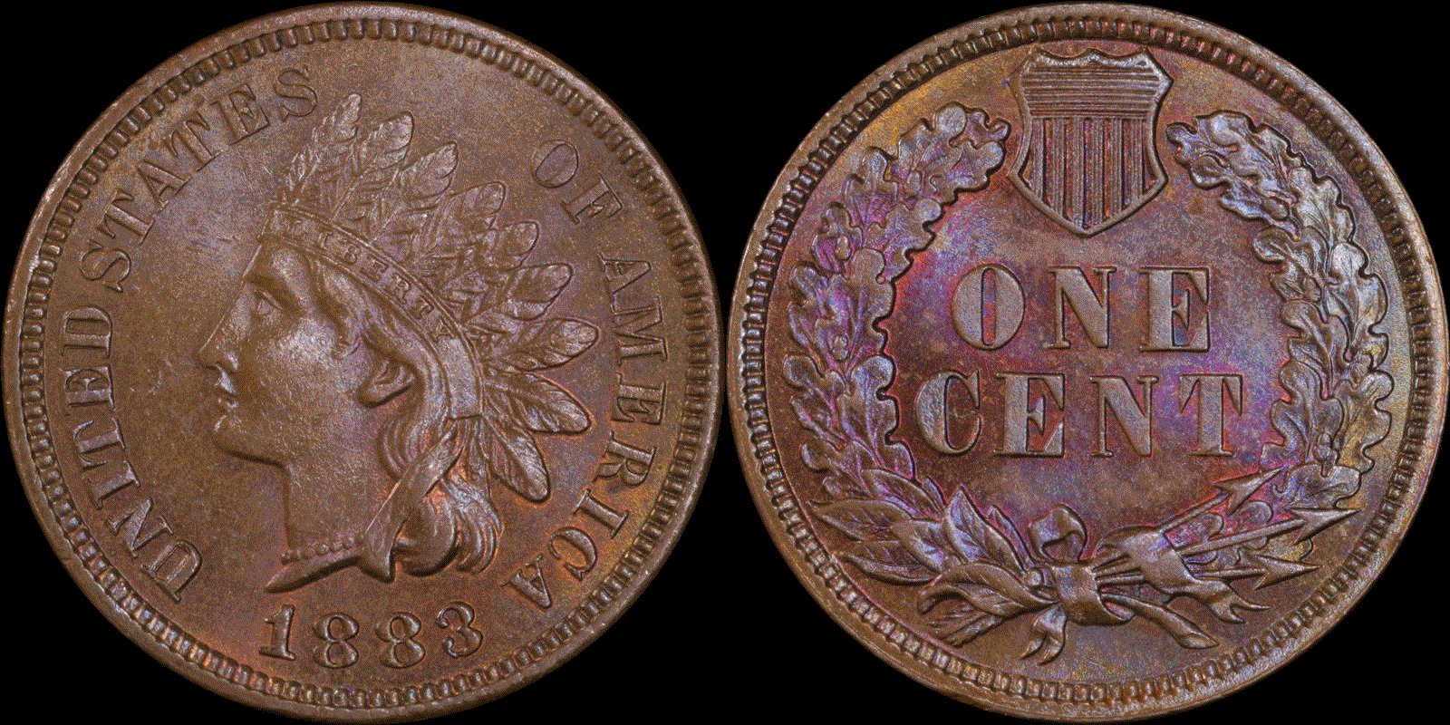 01c 1883 full 01.gif