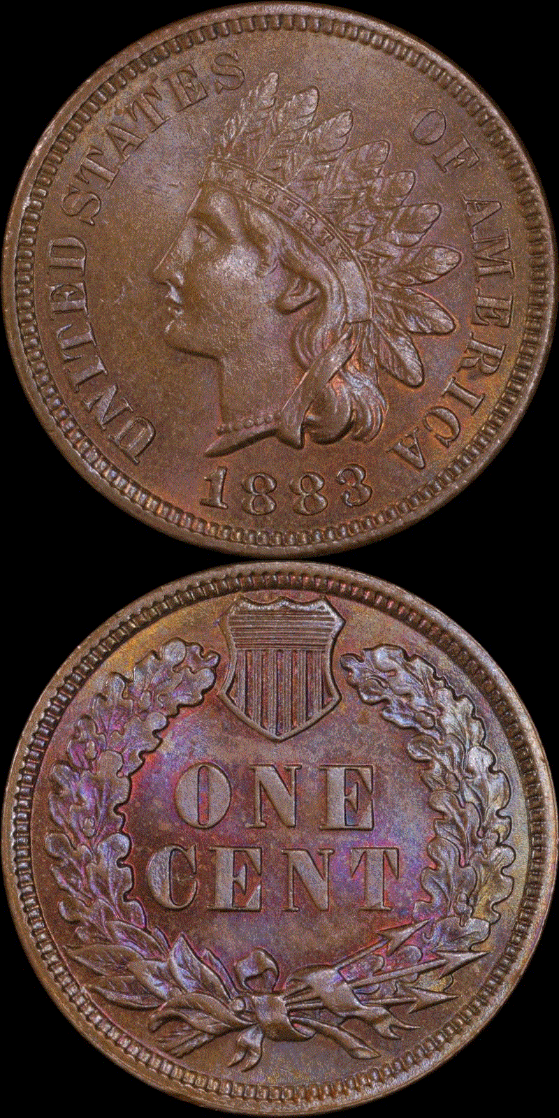 01c 1883 full 01.gif