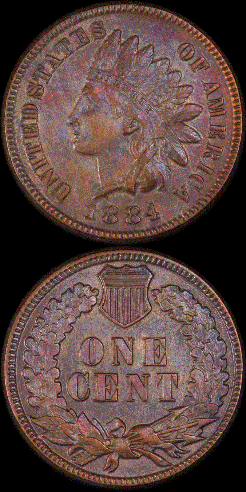 01c 1884 full 01.gif