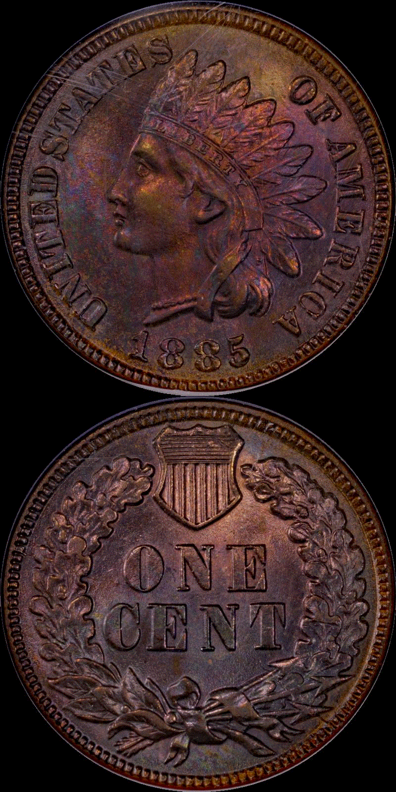 01c 1885 full 01.gif