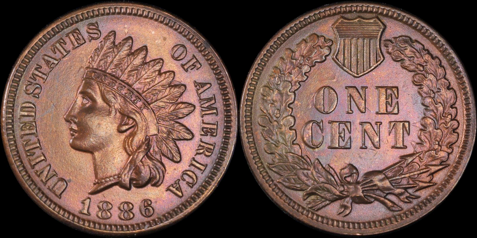 01c 1886 T1 full 01.gif