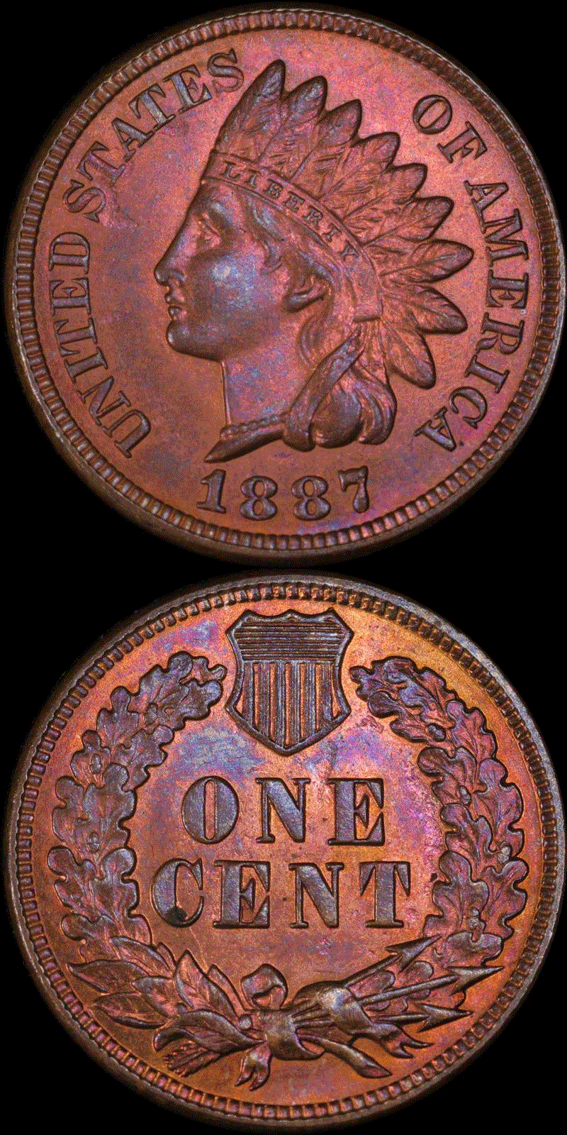 01c 1887 full 01v.gif