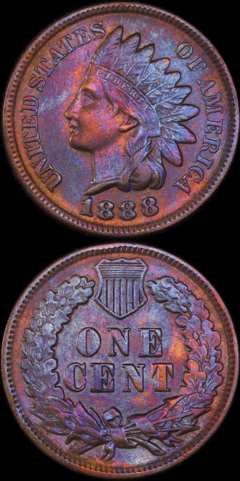 01c 1888 full 11.gif