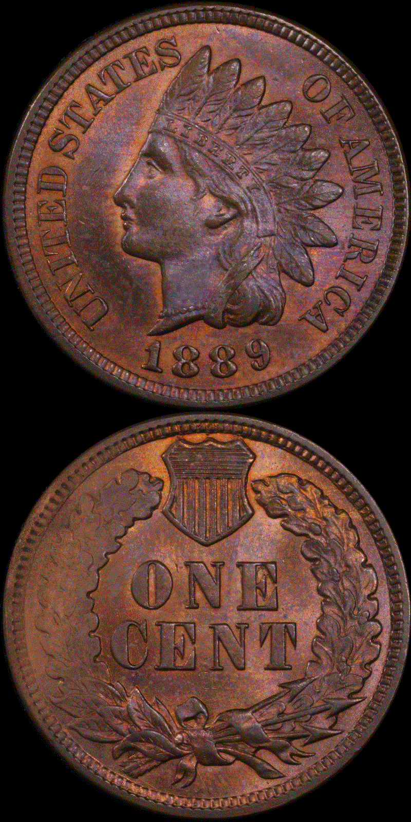 01c 1889 full 01v.gif