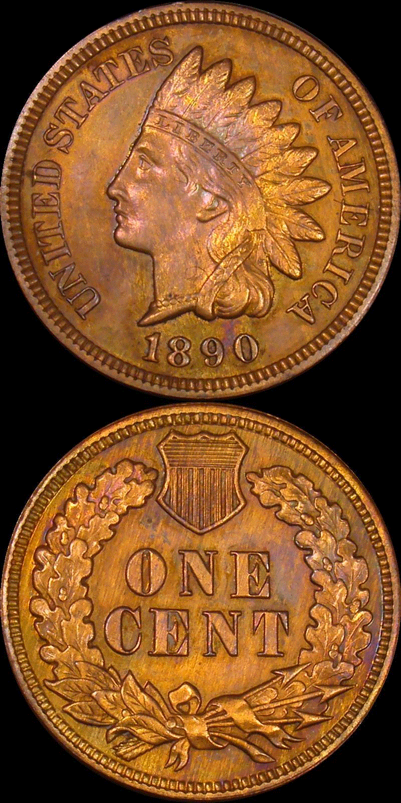 01c 1890 PF full 01v.gif