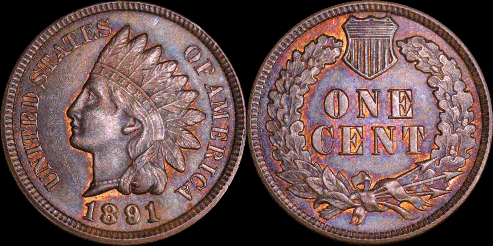01c 1891 full 01.gif