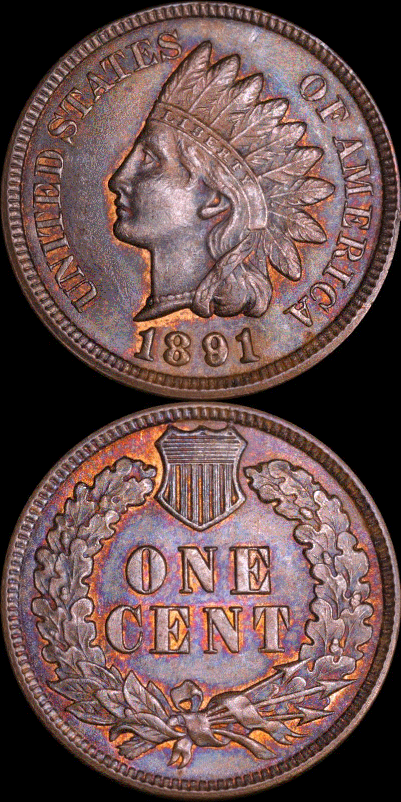 01c 1891 full 01v.gif
