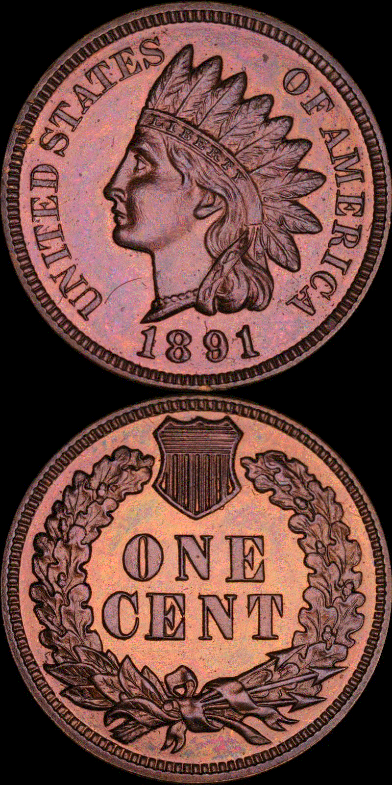 01c 1891 PF full 01v.gif