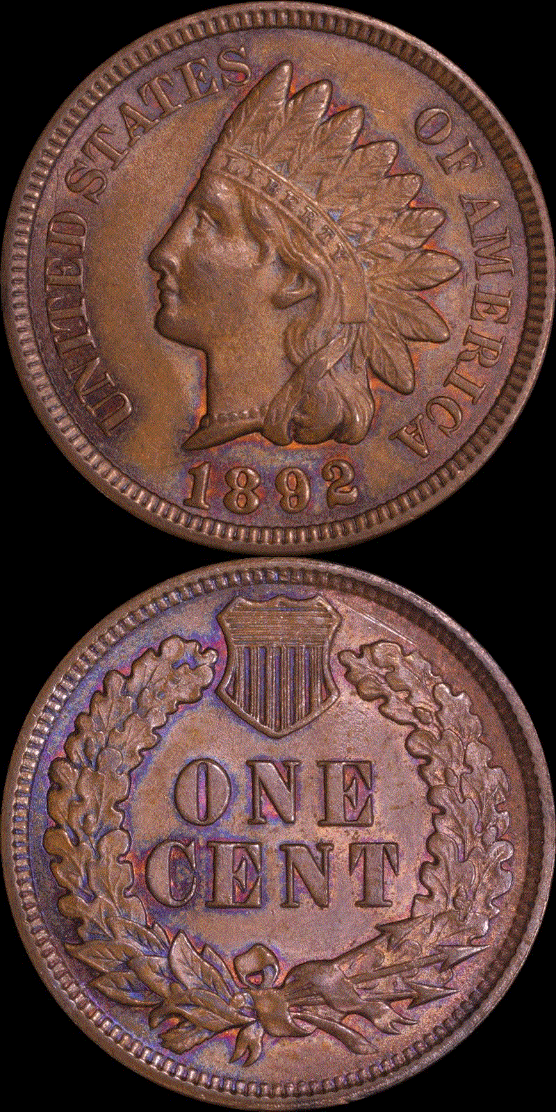 01c 1892 full 01v.gif
