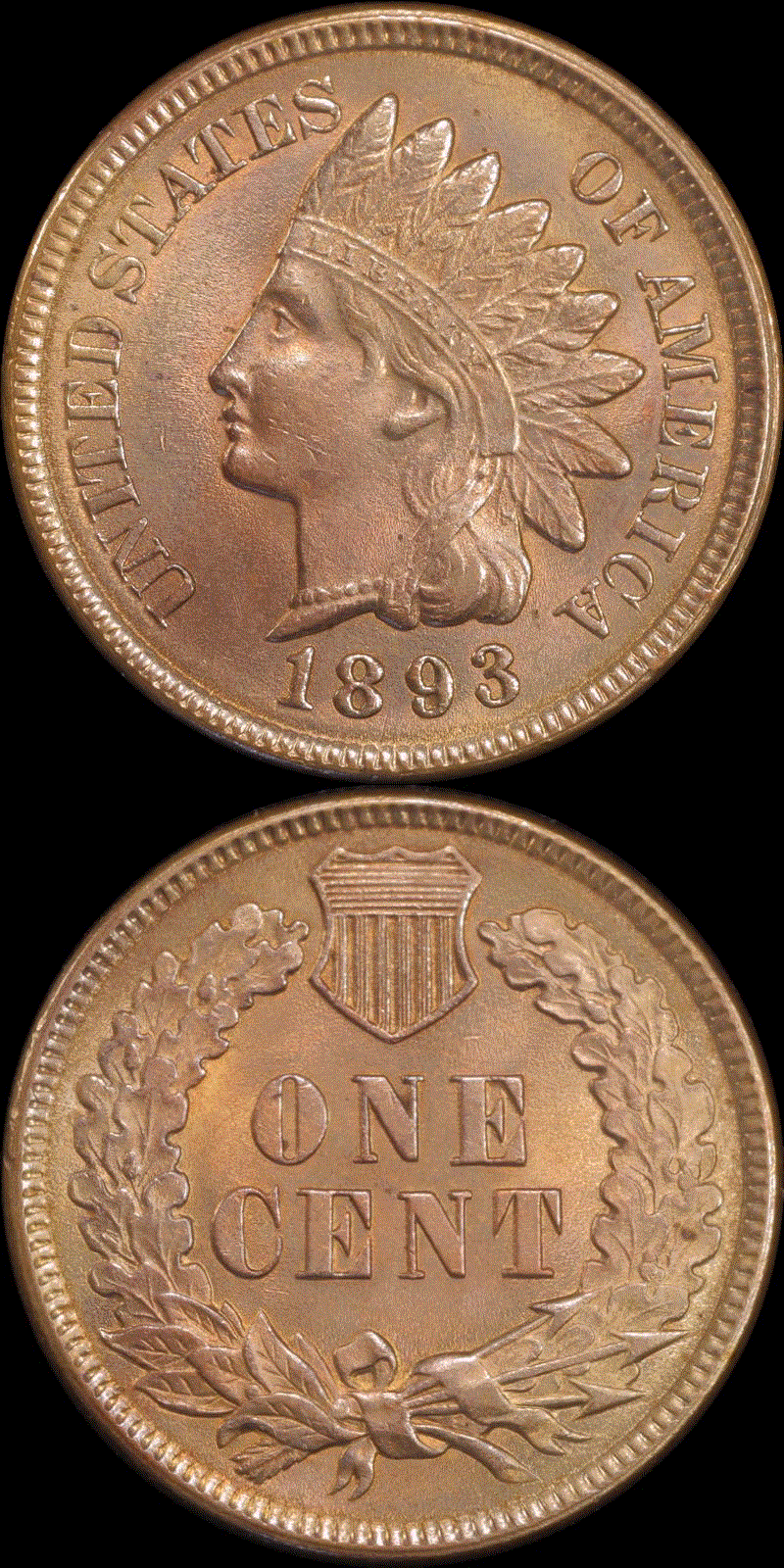 01c 1893 #02 full 01v.gif