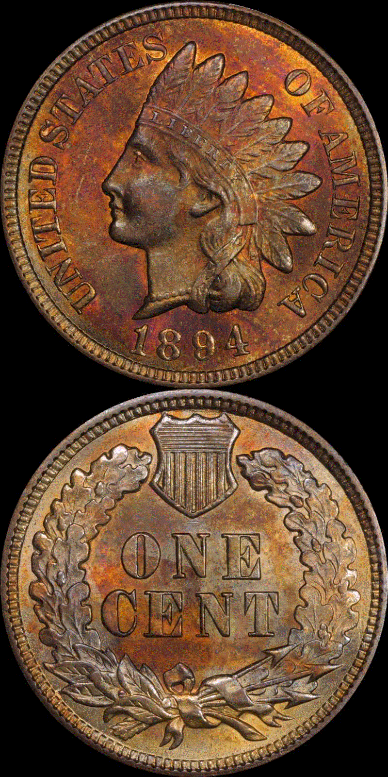 01c 1894 full 11v.gif
