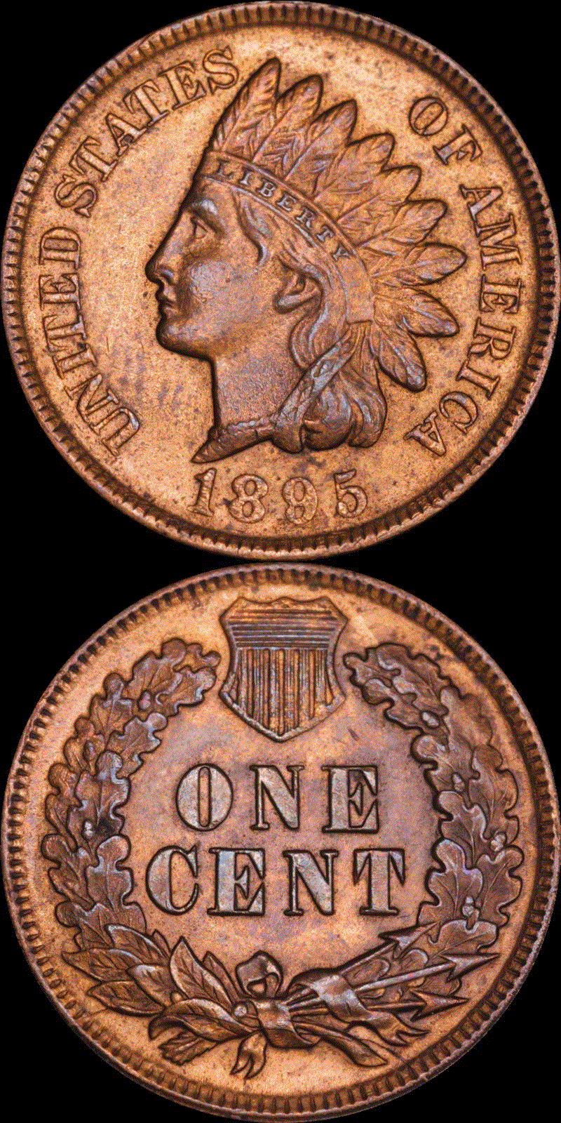 01c 1895 full 01v.gif