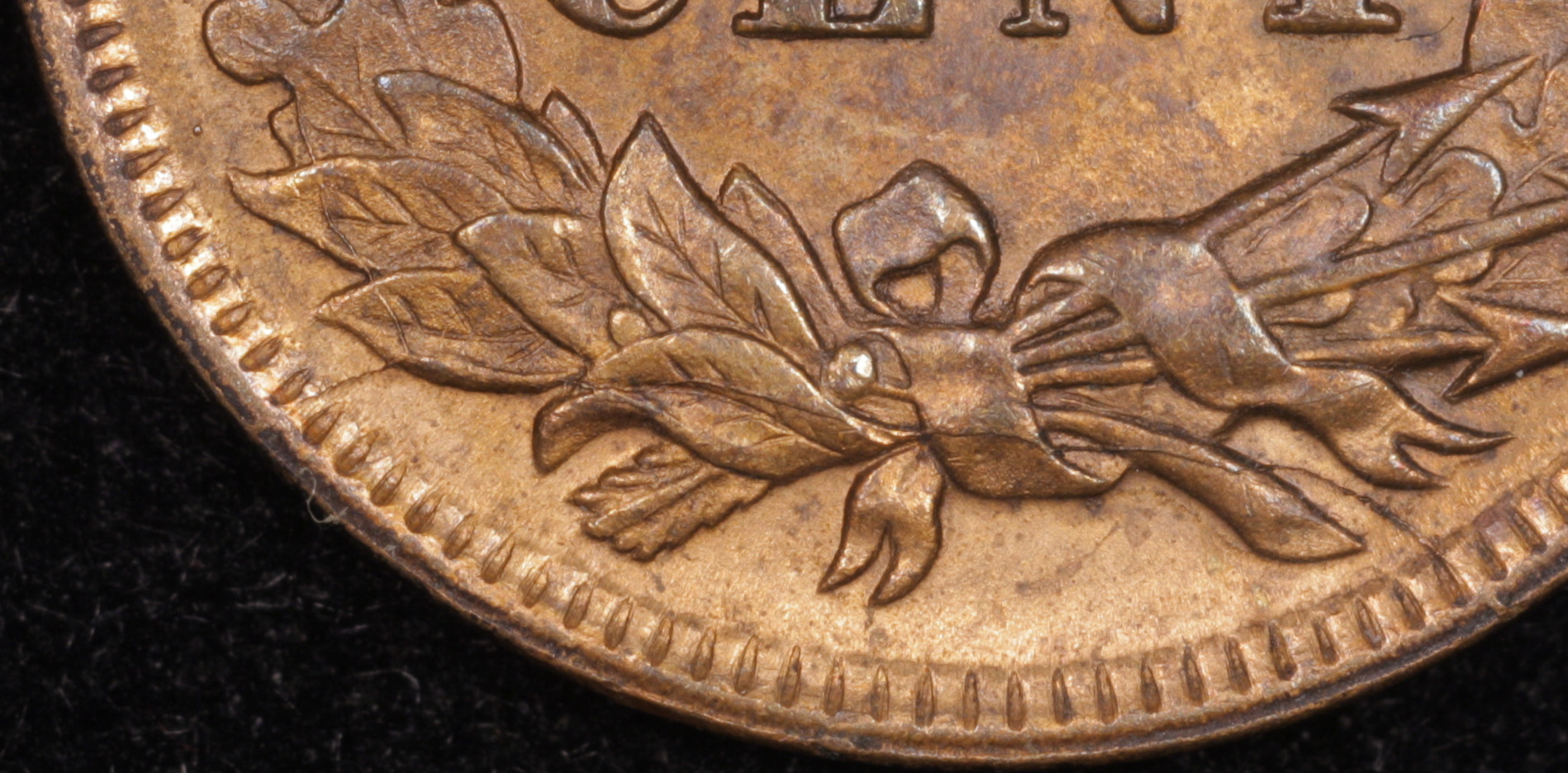 01c 1895 reverse 10 crop.jpg