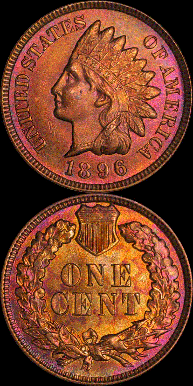 01c 1896 full 01v.gif