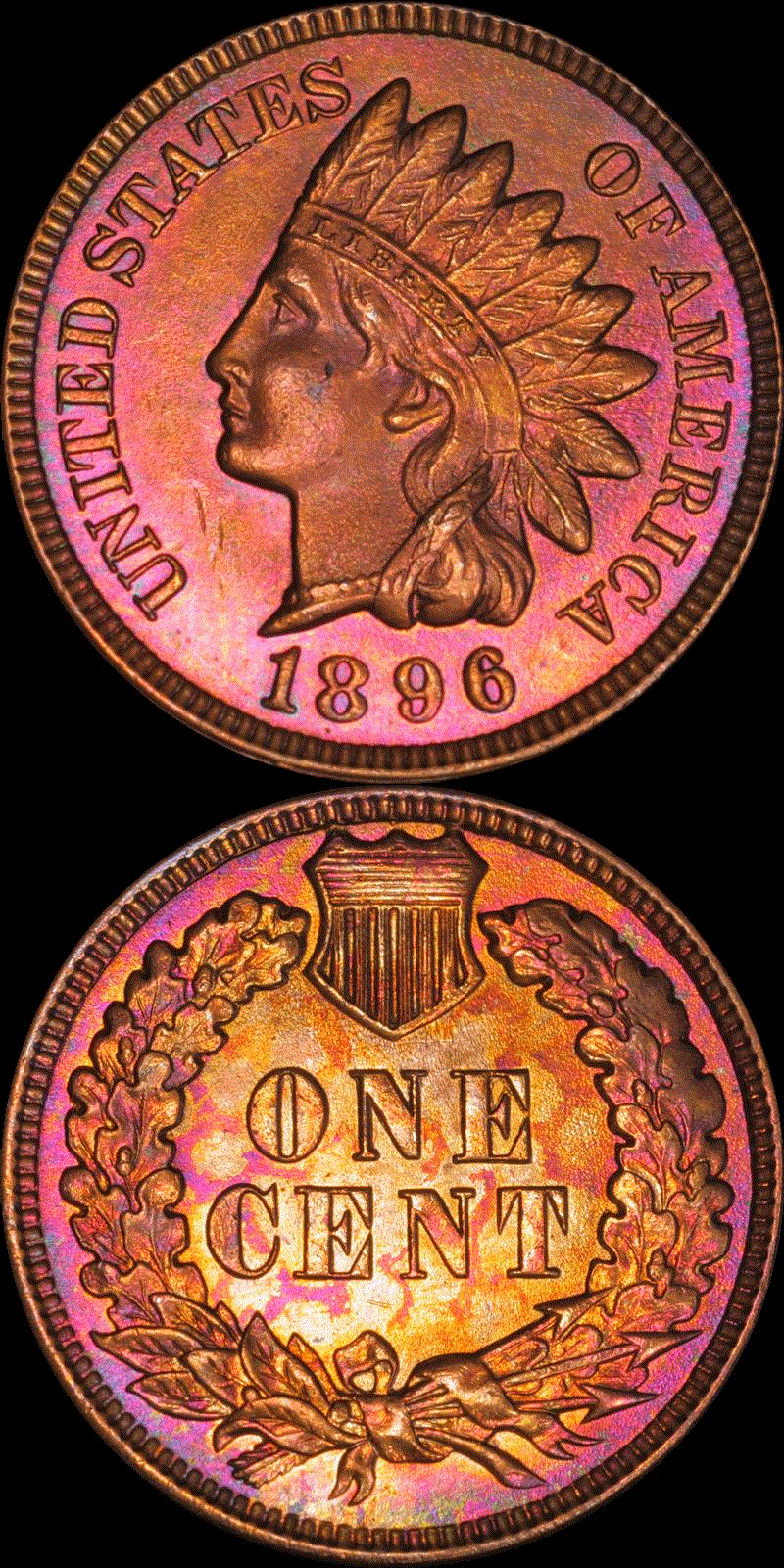 01c 1896 full 11v.gif