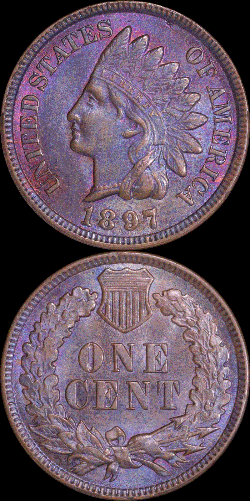 01c 1897 full 01v.gif