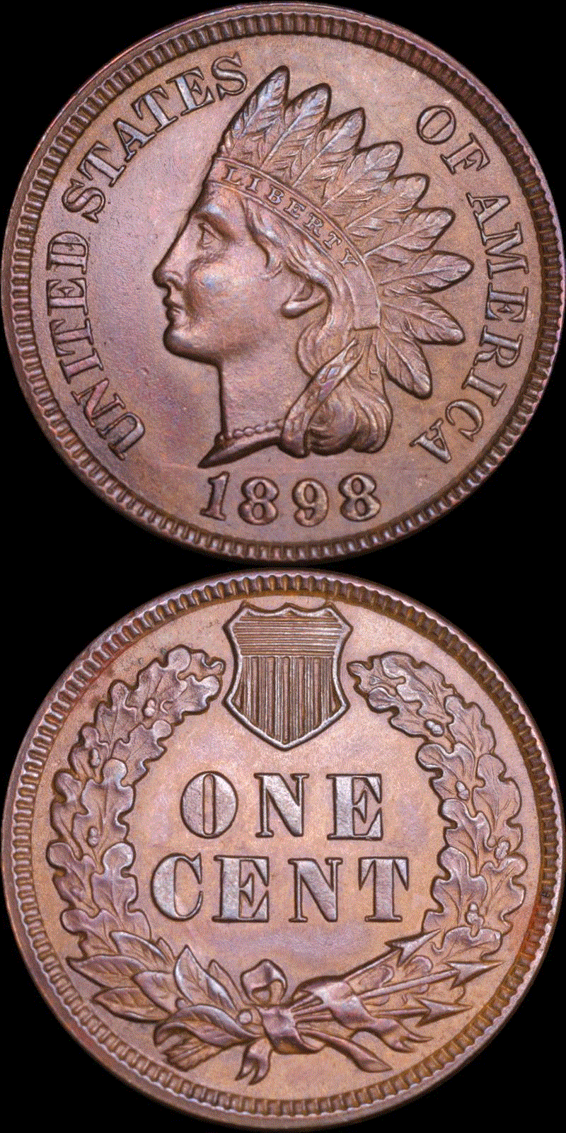 01c 1898 full 01v.gif
