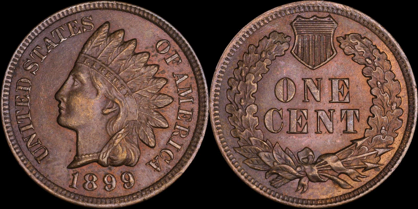 01c 1899 full 01.gif