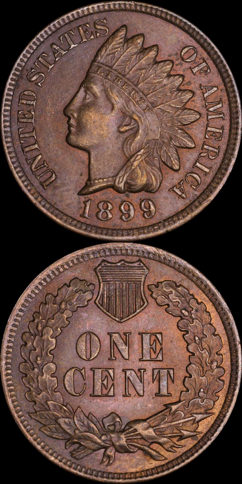 01c 1899 full 01v.gif