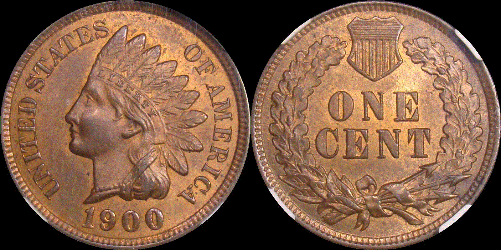 01c 1900 full 01.gif