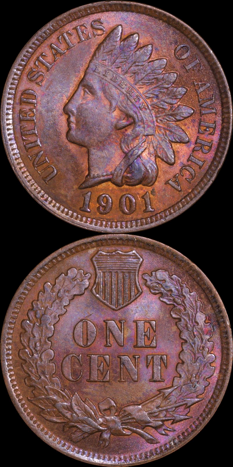 01c 1901 #02 full 01.gif