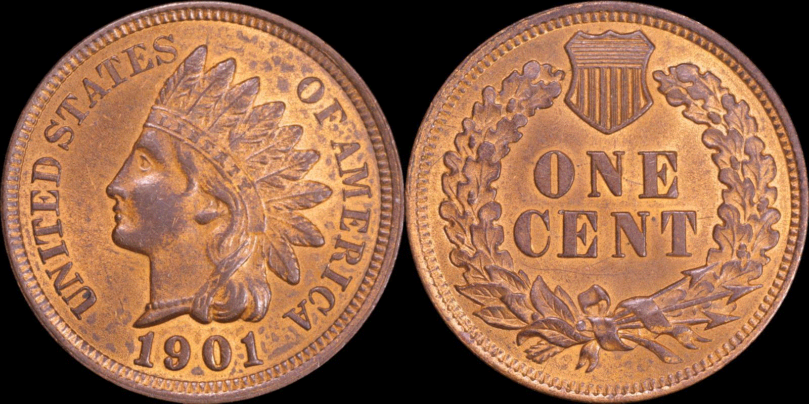 01c 1901 full 01.gif