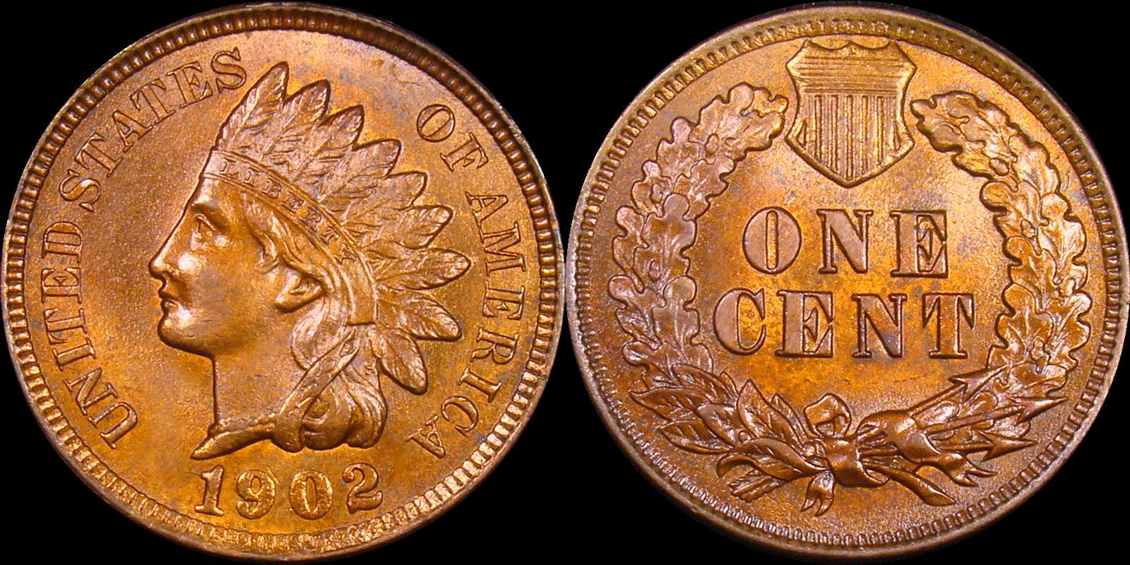 01c 1902 full 01.gif