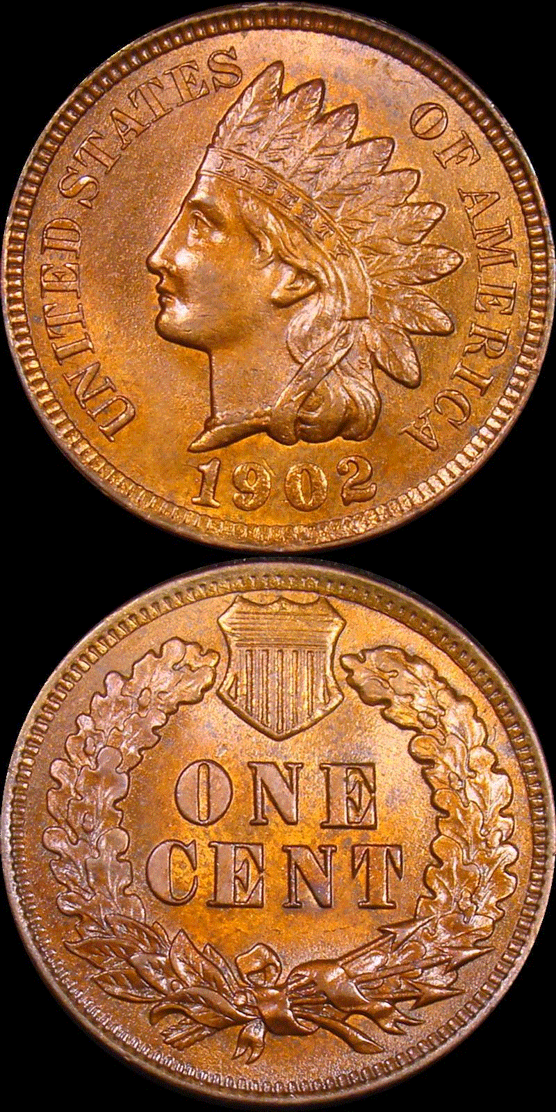 01c 1902 full 01v.gif