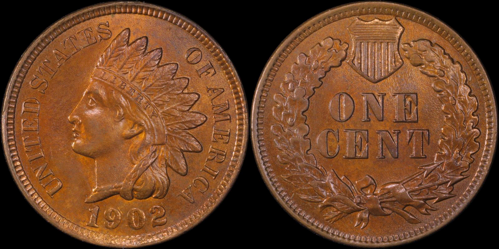 01c 1902 full11.gif