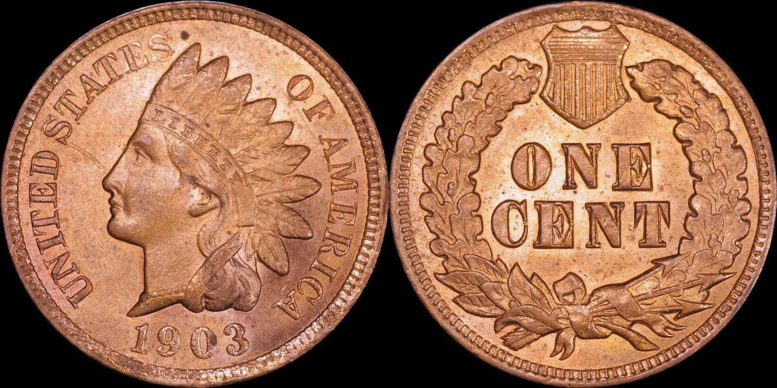 01c 1903 full 01.gif