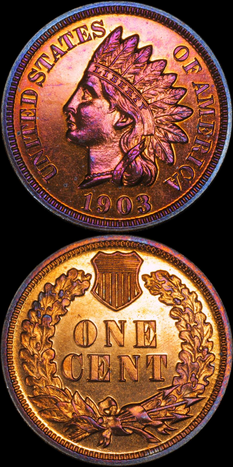 01c 1903 PF full 02.gif