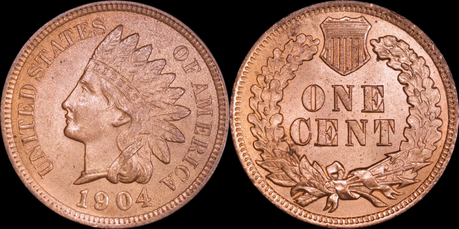 01c 1904 full 01.gif