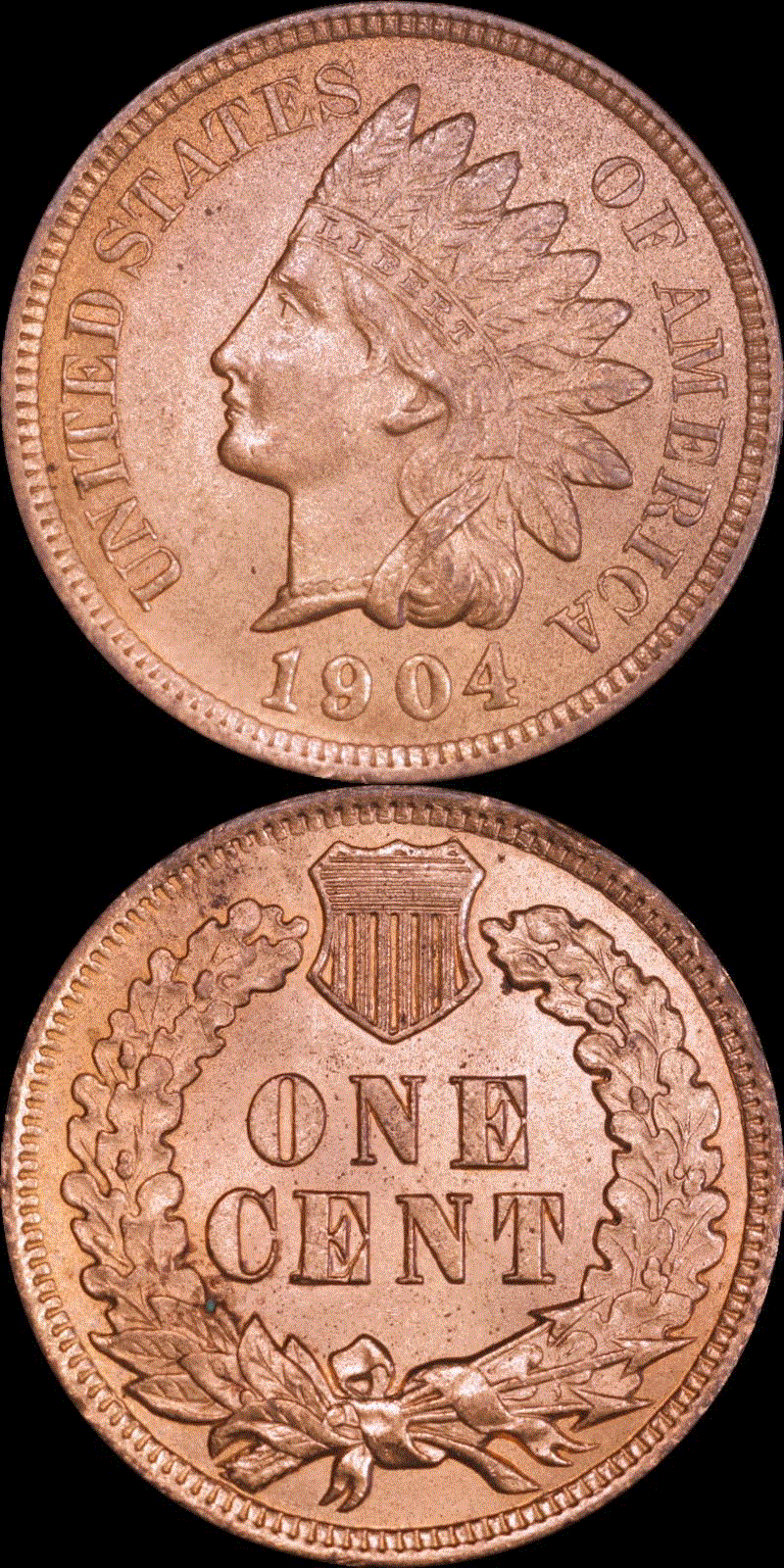 01c 1904 full 01v.gif