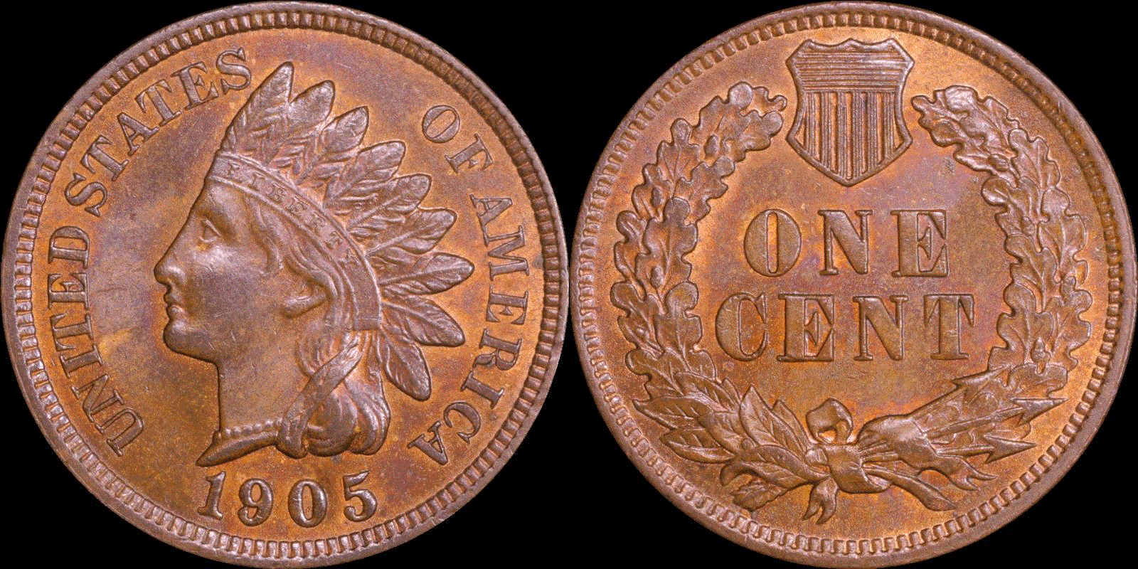 01c 1905 full 01.gif