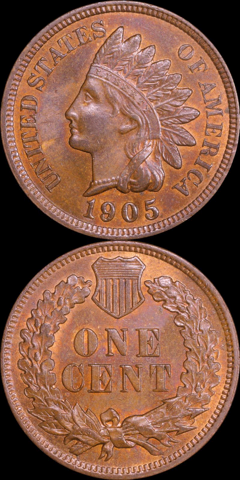 01c 1905 full 01v.gif