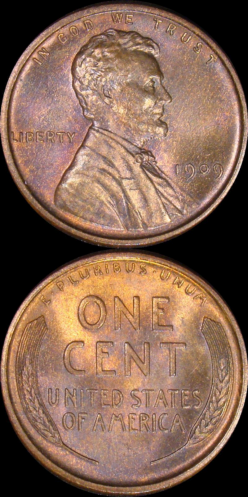 01c 1909 #02 full 21v.gif