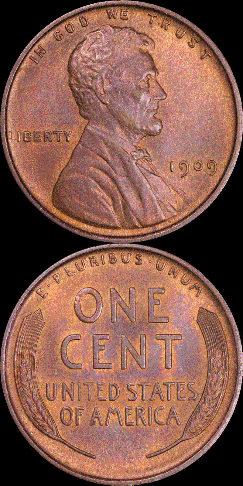01c 1909 #03 full 01v.gif