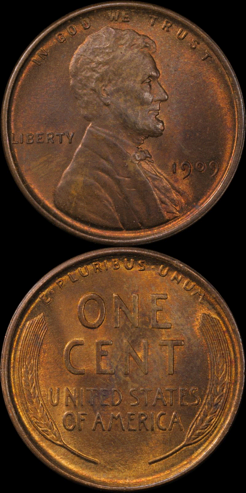 01c 1909 #05 full 01.gif