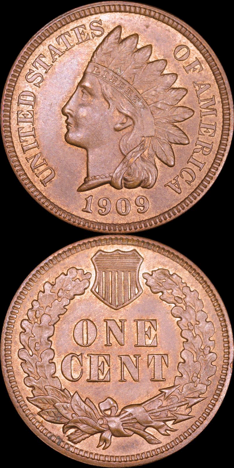 01c 1909 IHC full 01v.gif