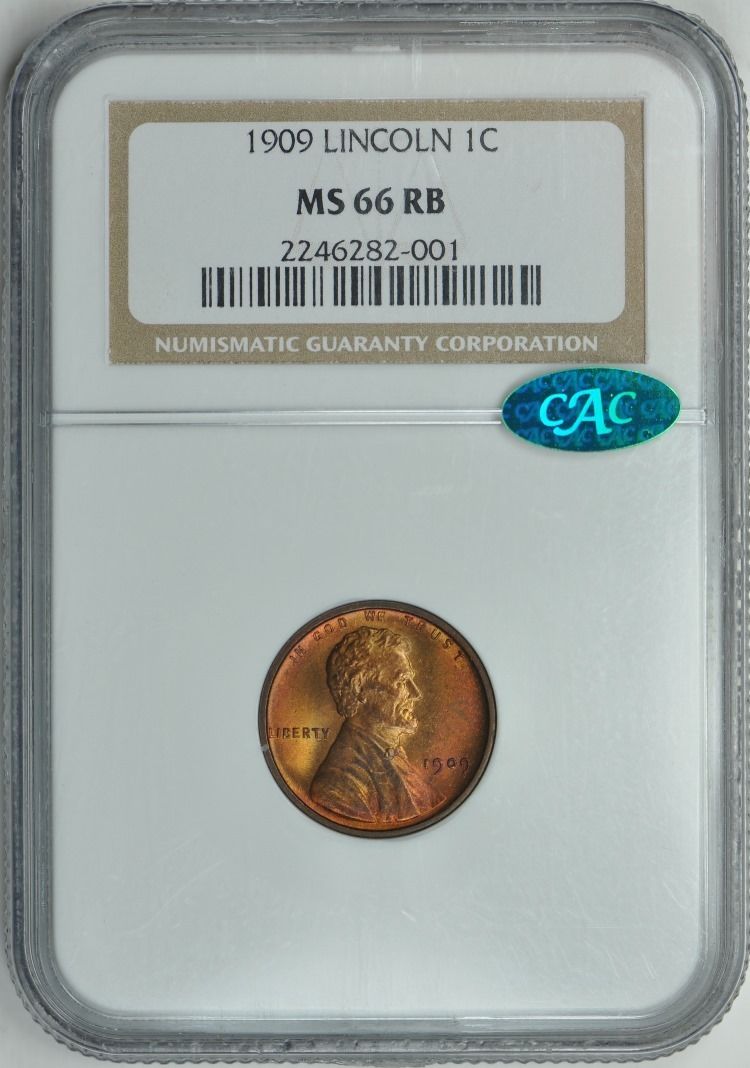 01c 1909 obverse holder.jpg