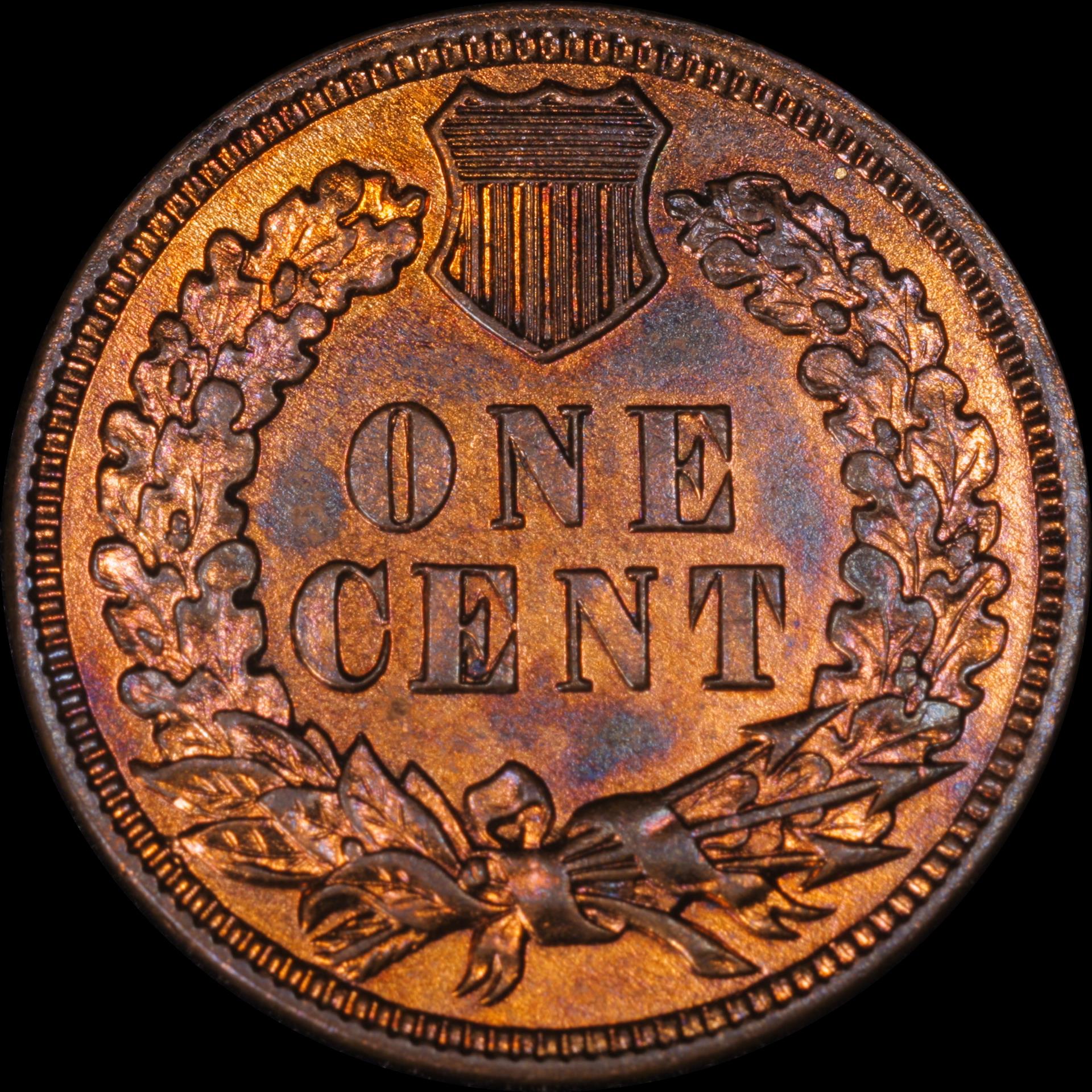 01c 1909 reverse 05.JPG